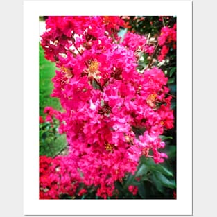 Bright Pink Flowers Posters and Art